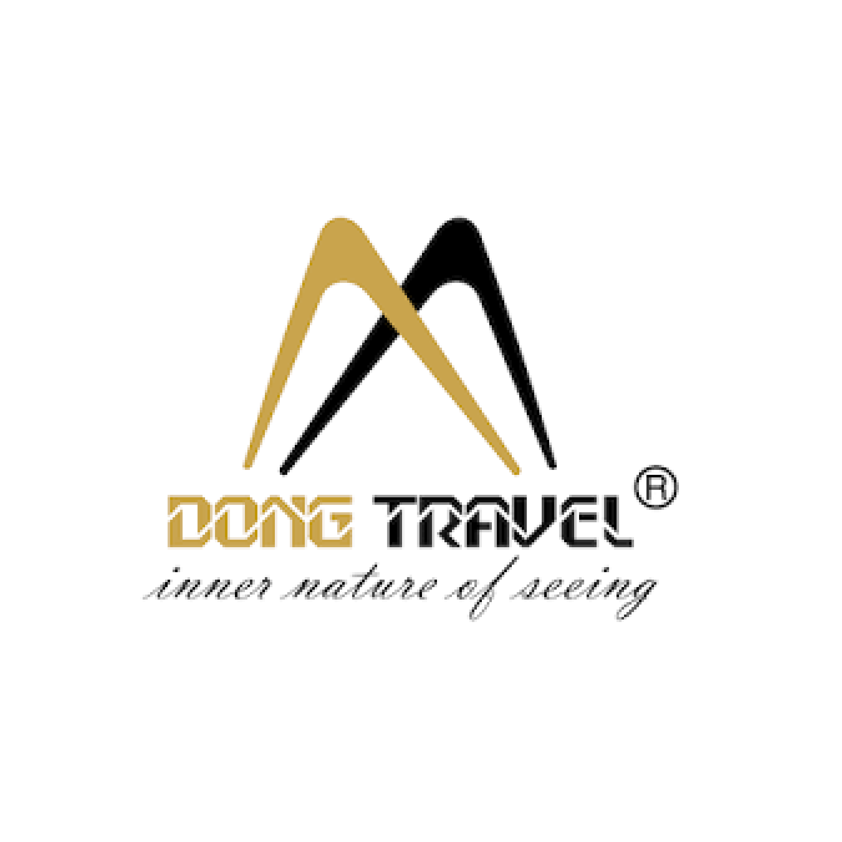 DONG TRAVEL